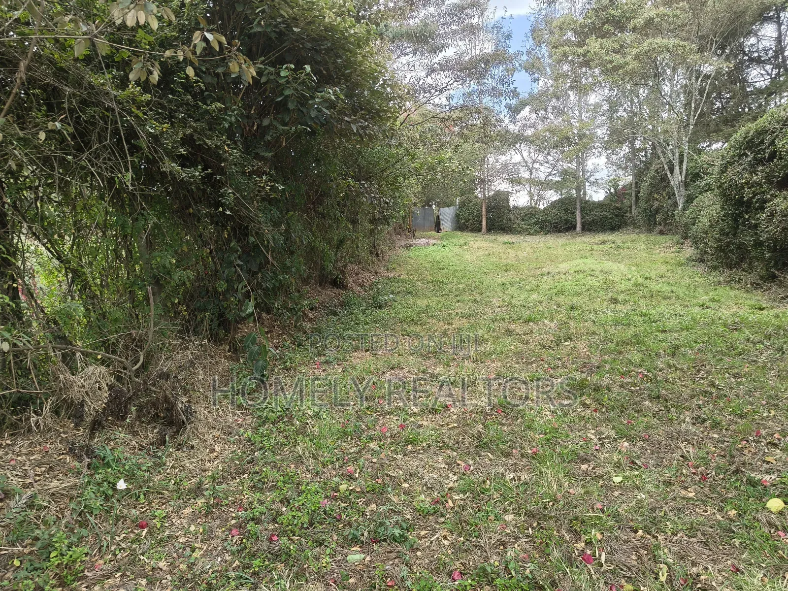 1.25 Acre Piece of Land for Sale in Ngong, Ol Keri Near the Tarmac in Ol Keri