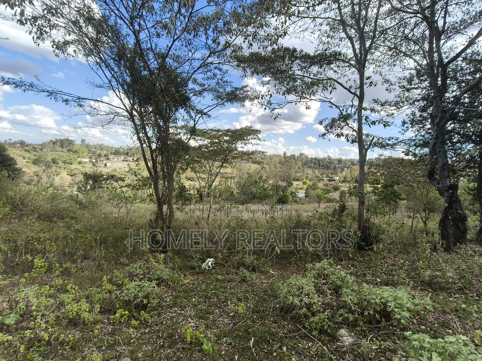 3 Acres Piece of Land for Sale in Ngong, Olkeri Near Tarmac in Ol Keri