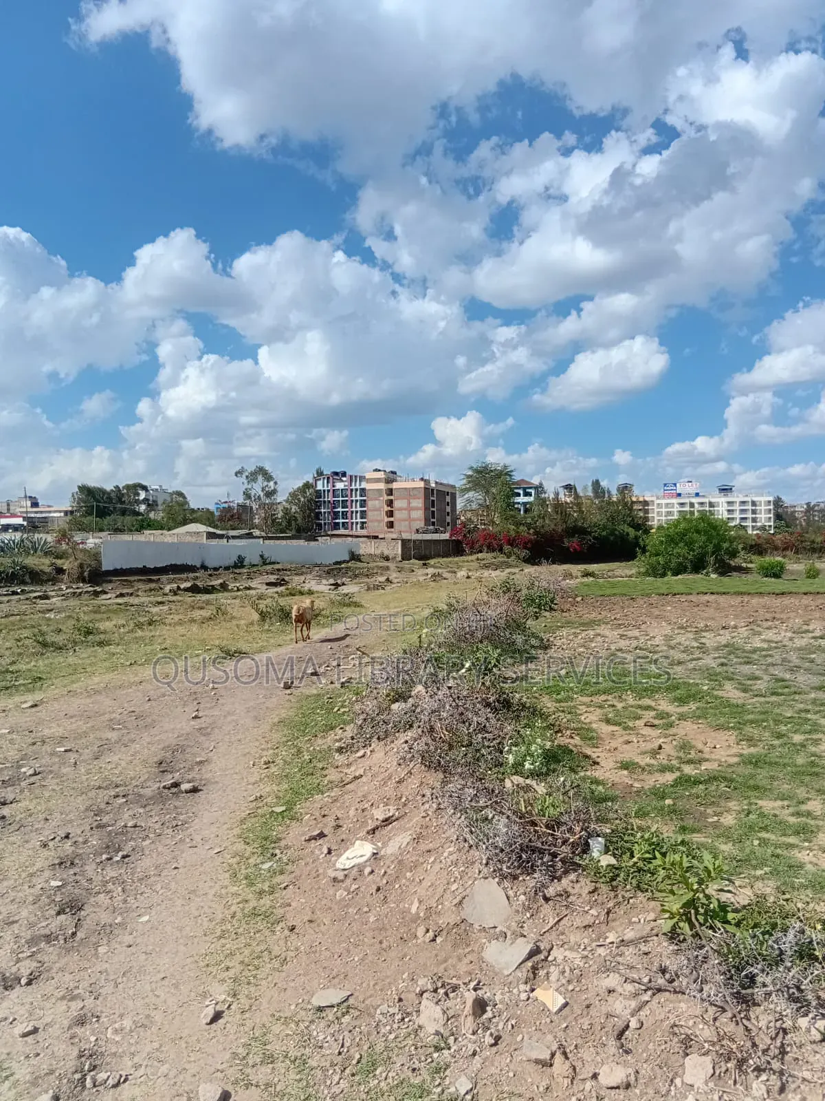 Prime Investment Opportunity: Kitengela Riverside Quarter-Acre Plots in Nairobi Central