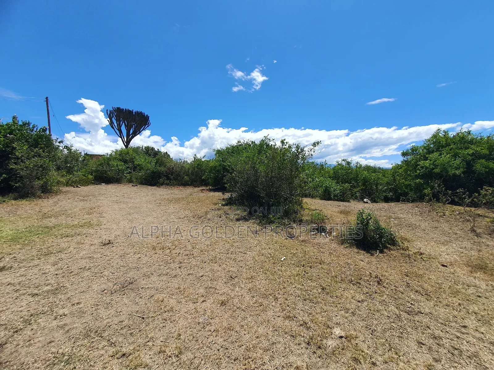 2 Acres in Giachuma [ Narumoru ] in Nanyuki