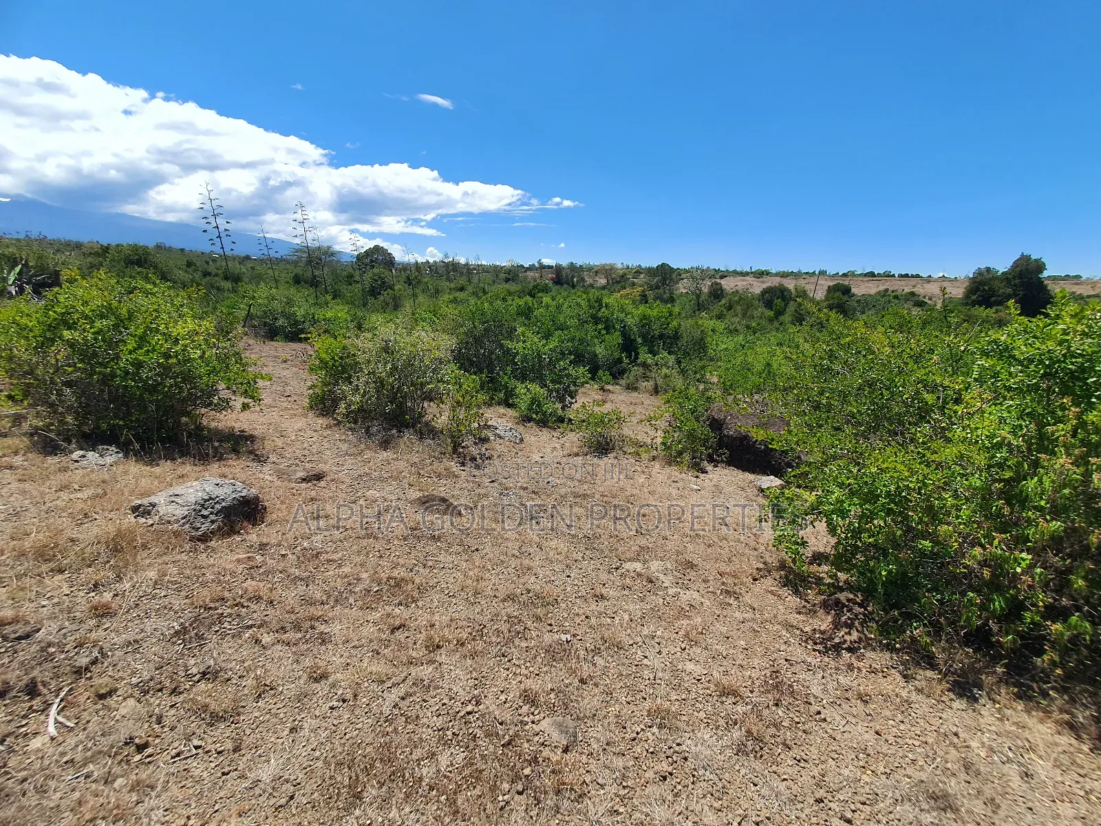 2 Acres in Giachuma [ Narumoru ] in Nanyuki