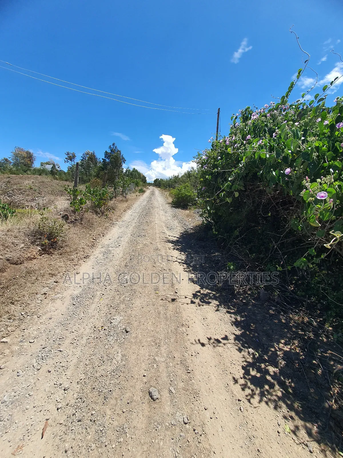 2 Acres in Giachuma [ Narumoru ] in Nanyuki