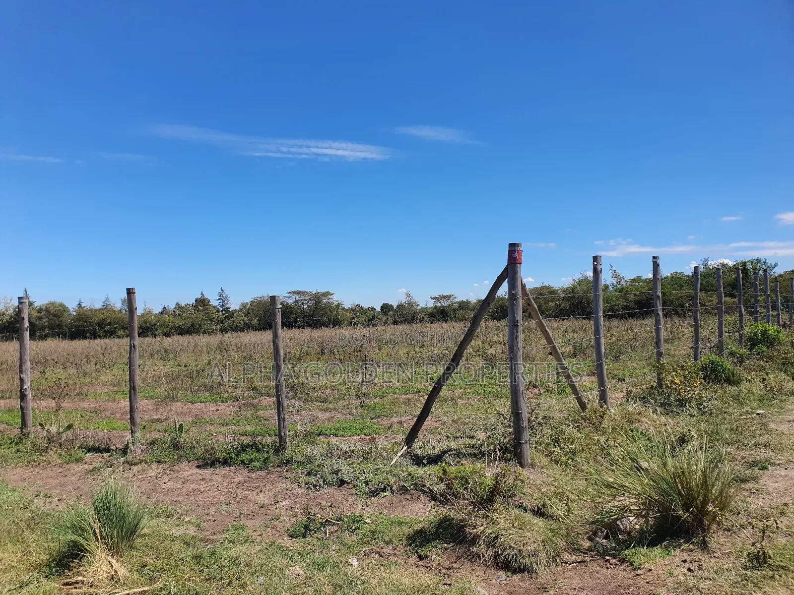 1 Acre and a Quarter for Sale in Giachuma in Nanyuki