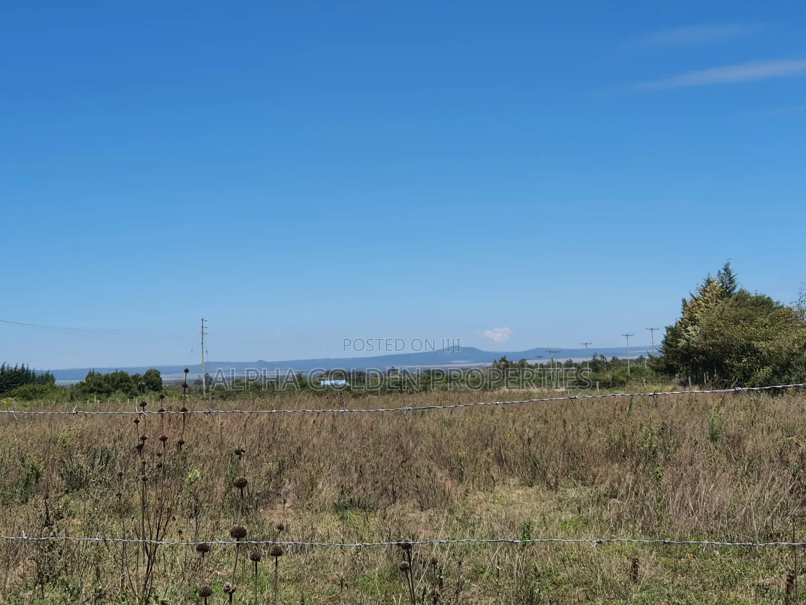 1 Acre and a Quarter for Sale in Giachuma in Nanyuki