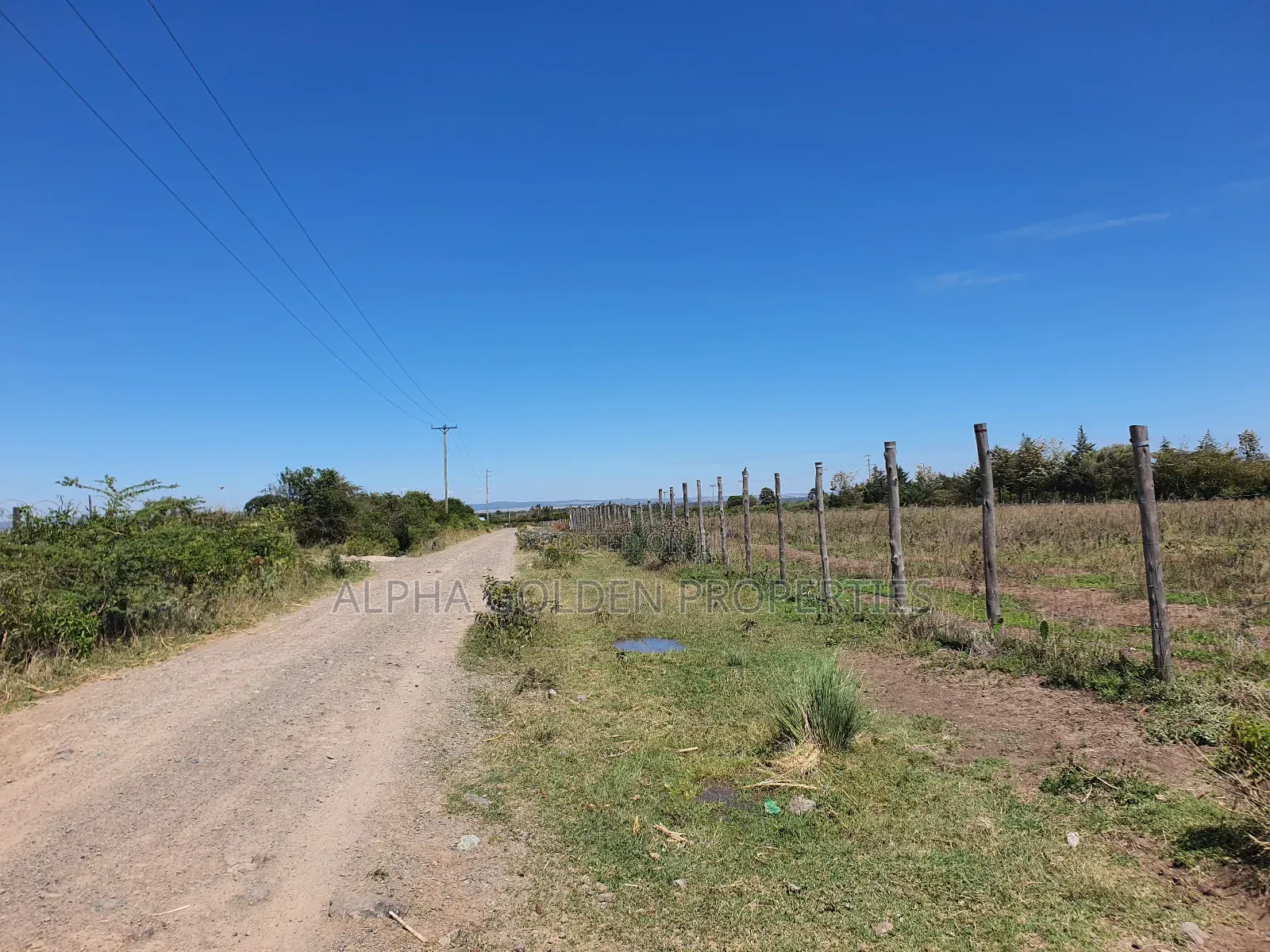 1 Acre and a Quarter for Sale in Giachuma in Nanyuki