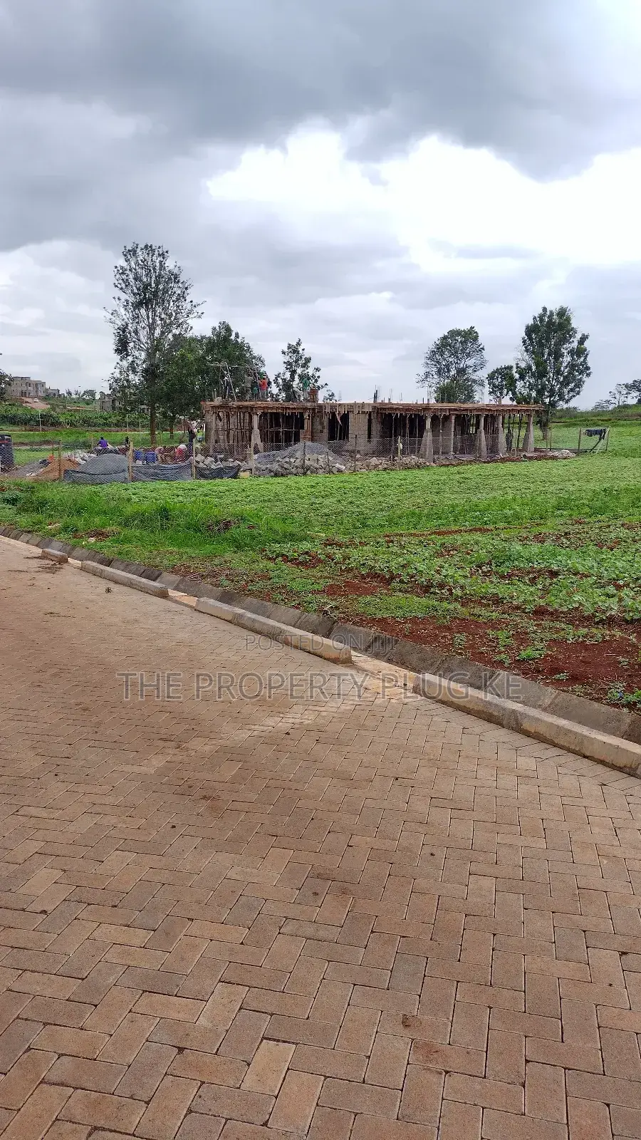 1/4 Acre Plots for Sale in Kiambu in Kiambu / Kiambu 