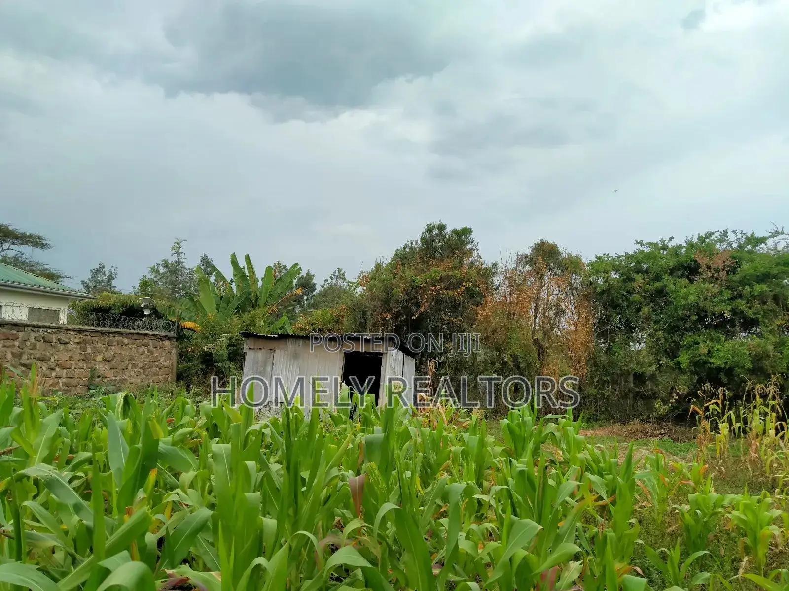 Eighth Acre Plot for Sale in Ongata Rongai, Kandisi. in Kandisi