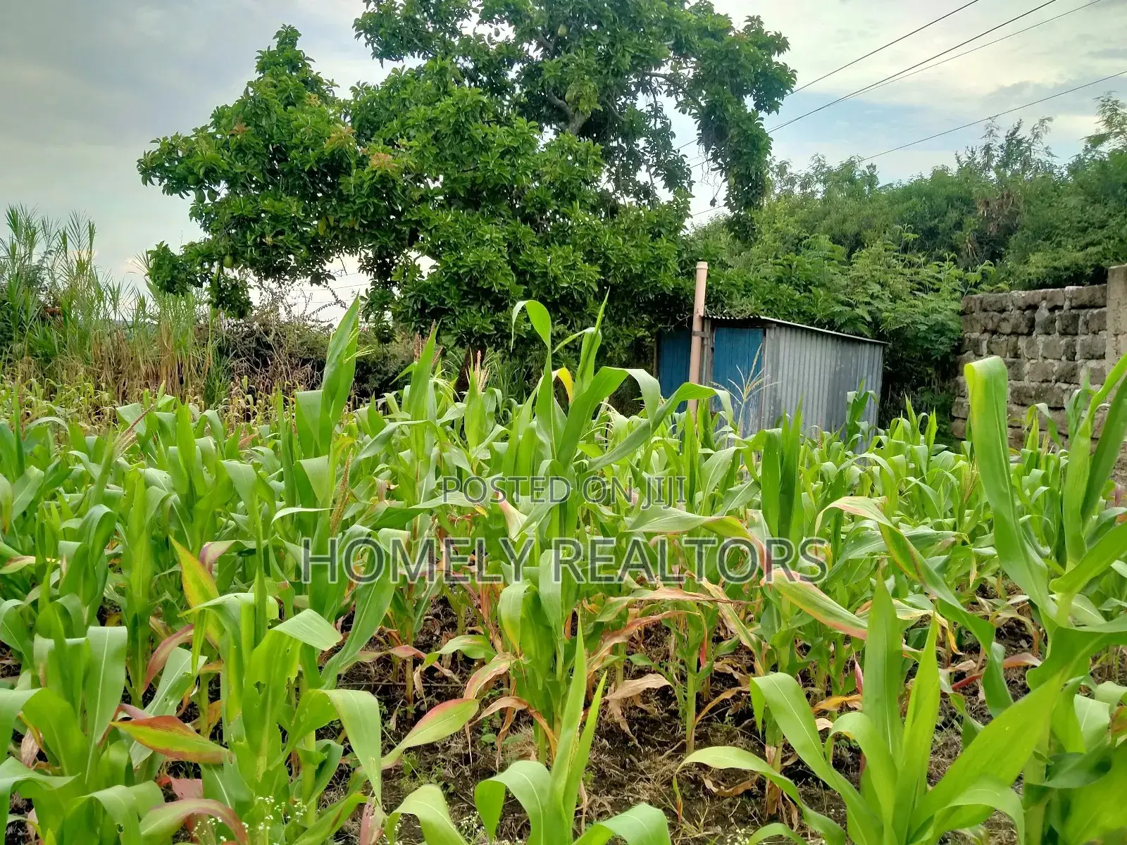 Eighth Acre Plot for Sale in Ongata Rongai, Kandisi. in Kandisi