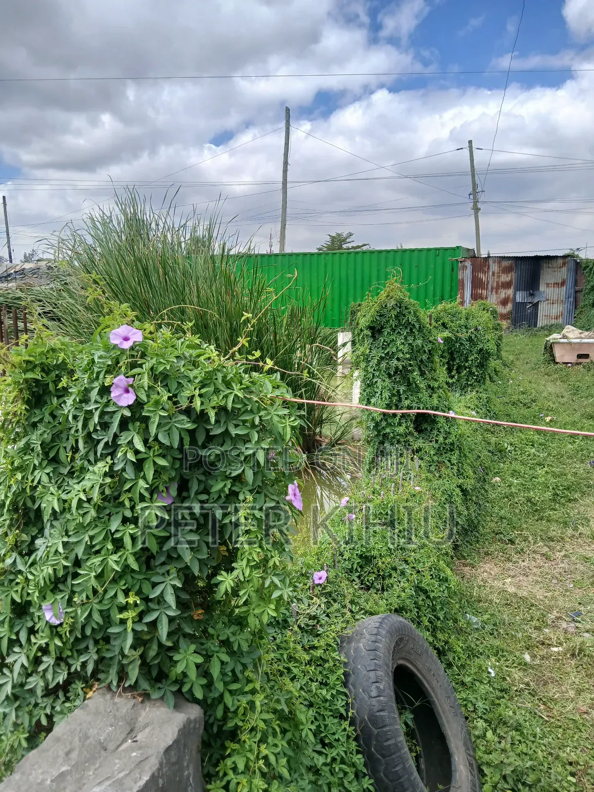Imara Daima 1/8th Acre With Borehole for Sale in Imara Daima