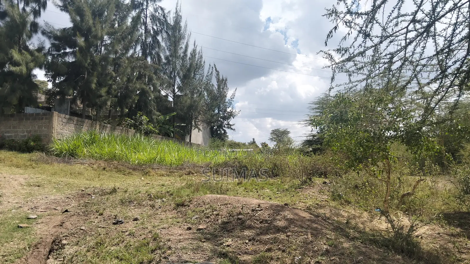 100x100 Plots for Sale in Chelleni Chokaa, Ruai – Prime Along Tarmac in Ruai