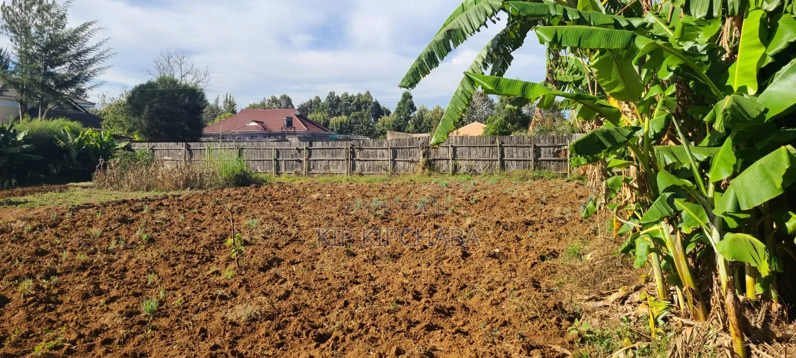 4bdrm Bungalow in Blossom, Elgon View for sale in Elgon View