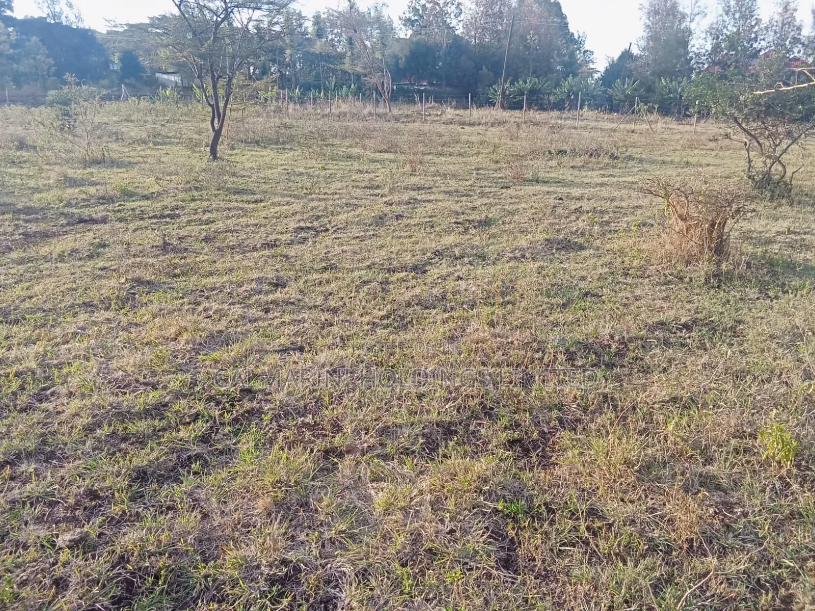 50 by 100 Plots Near Merisho Police Station, Matasia in Matasia
