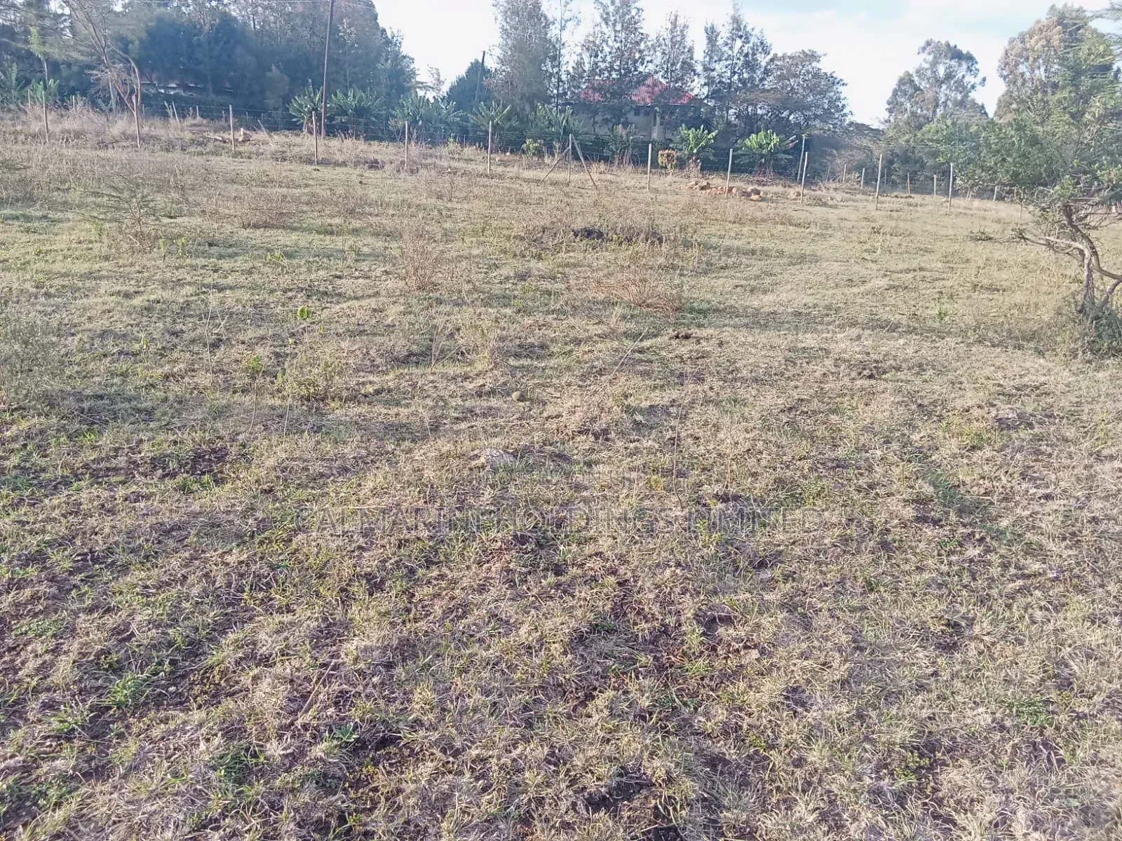 50 by 100 Plots Near Merisho Police Station, Matasia in Matasia
