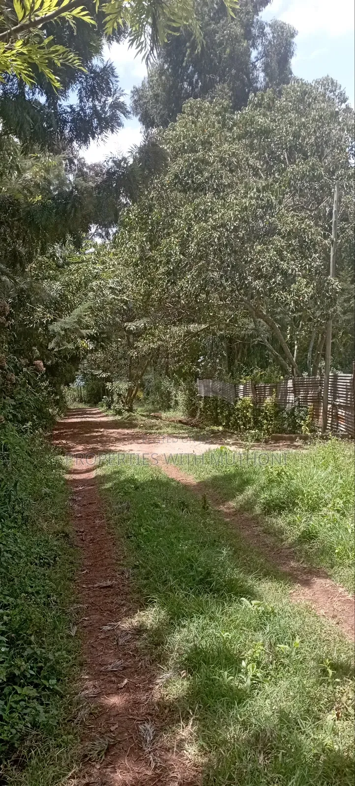 1⁄8acre Plots for Sale in Matasia,Ngong. in Ngong