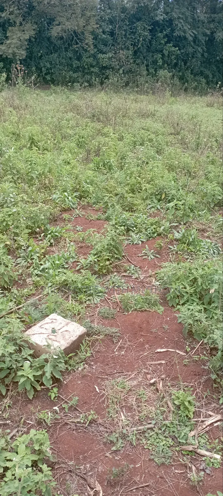 1⁄8acre Plots for Sale in Matasia,Ngong. in Ngong