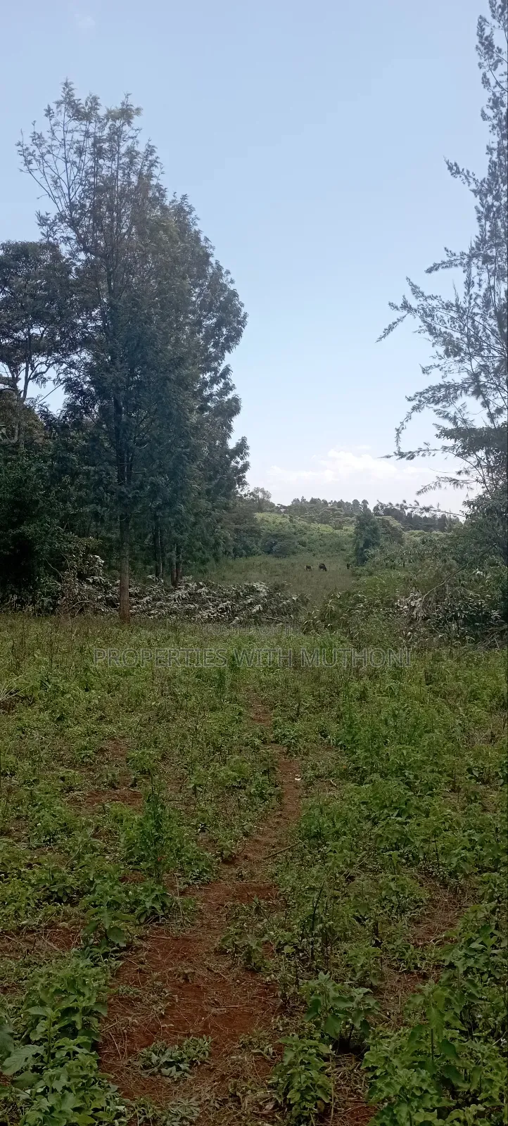 1⁄8acre Plots for Sale in Matasia,Ngong. in Ngong