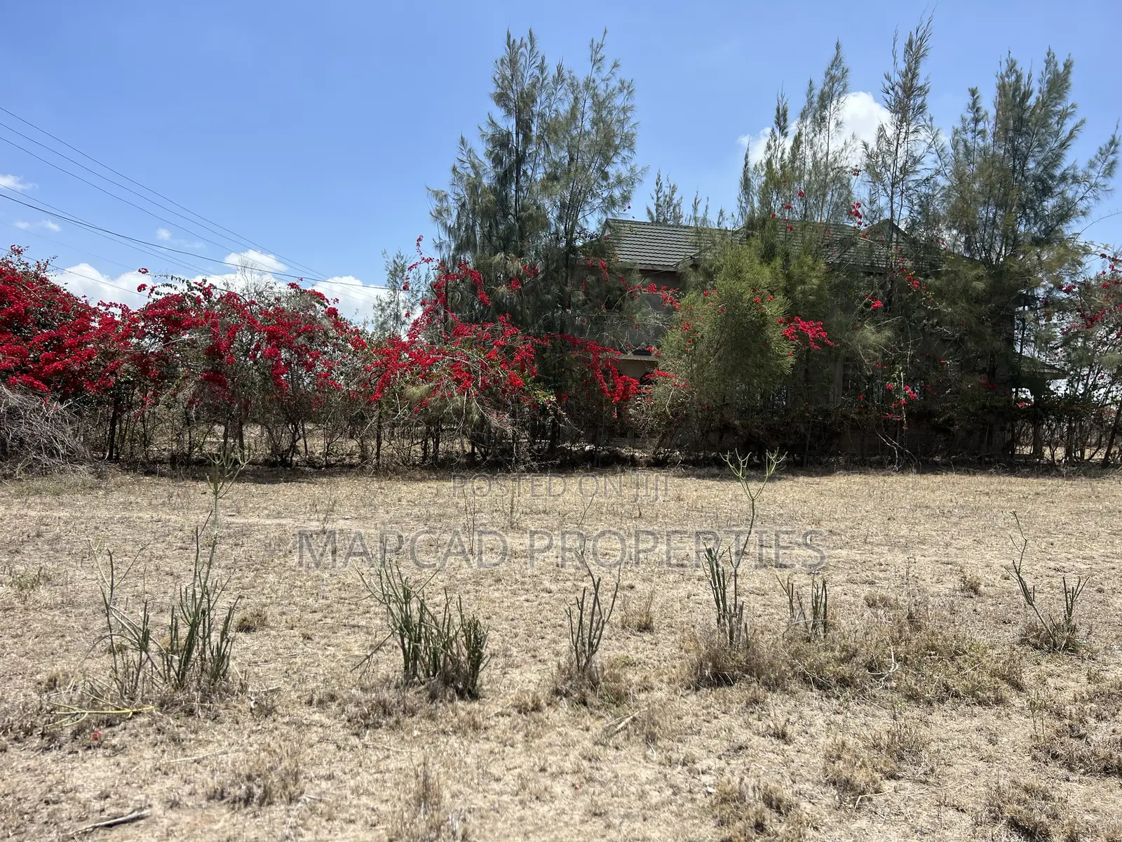 100*100 Plots for Sale Kitengela Milimani Newlife in Kitengela