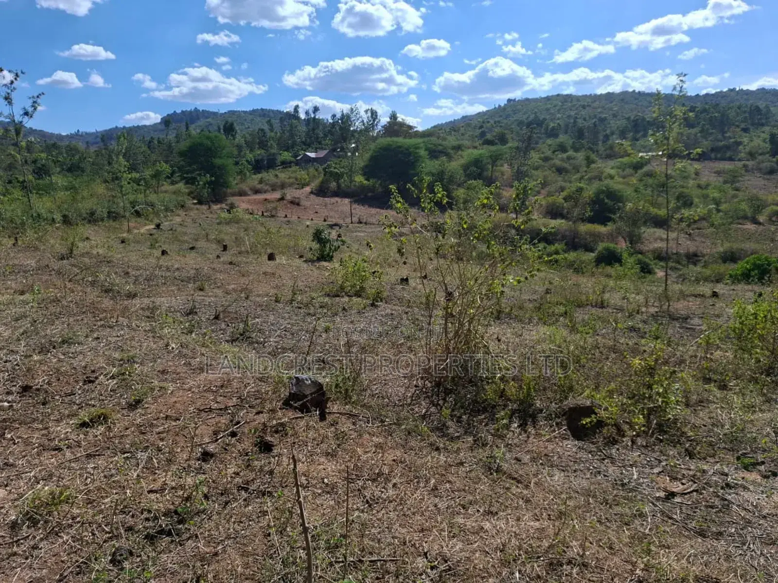 3 Acres for Sale in Ndorome Area- Iganjo in Kambiti