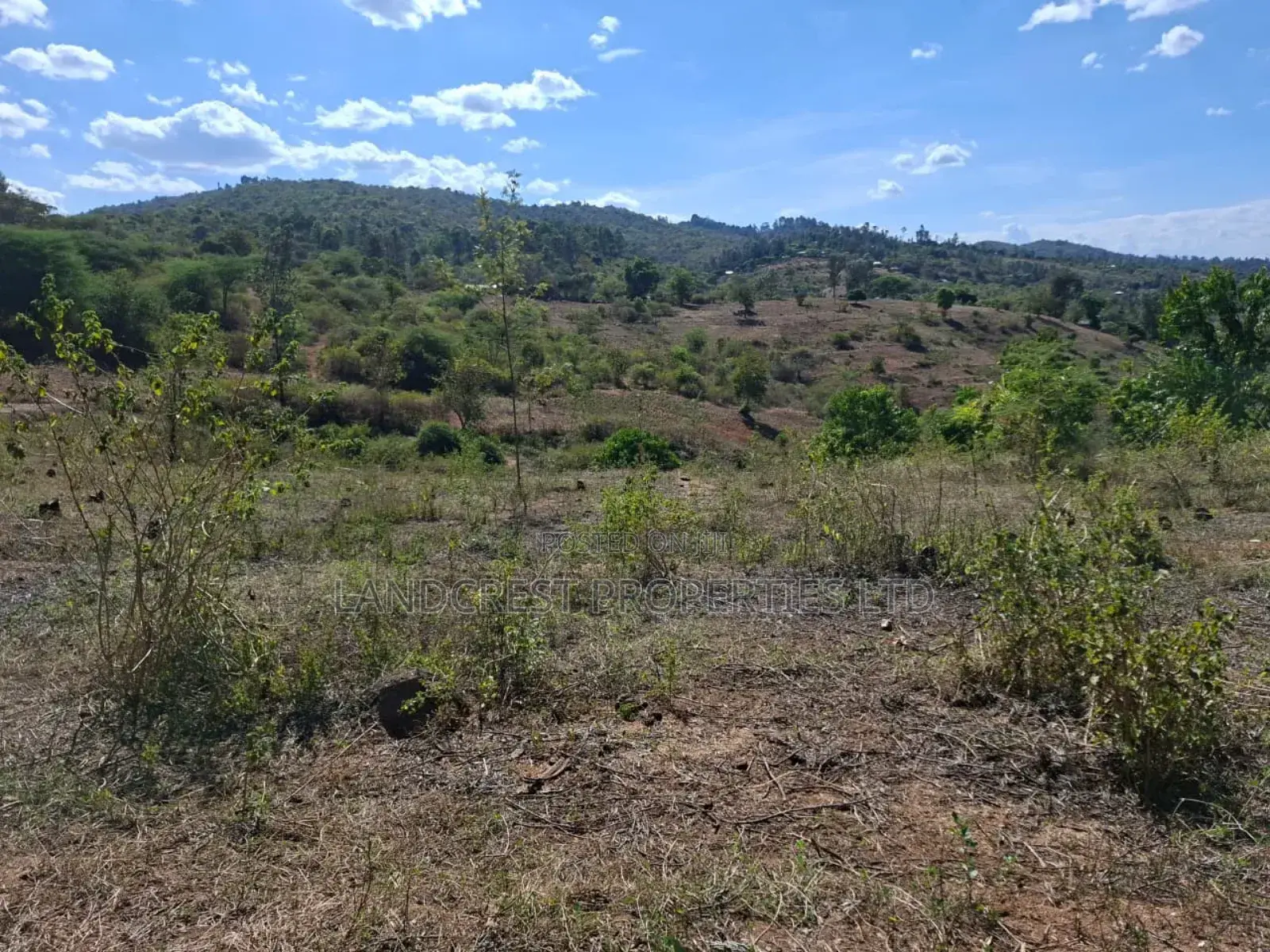 3 Acres for Sale in Ndorome Area- Iganjo in Kambiti
