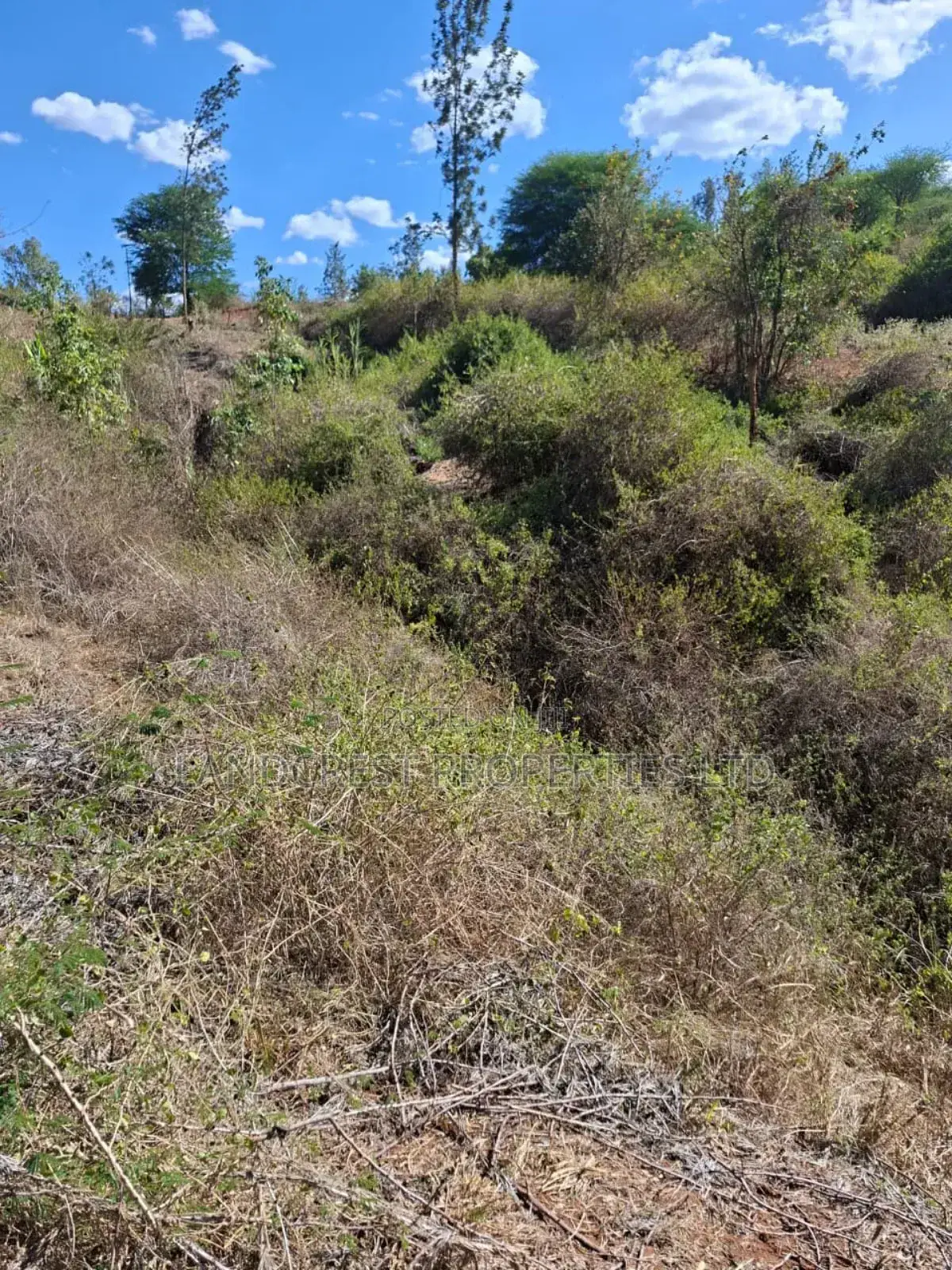 3 Acres for Sale in Ndorome Area- Iganjo in Kambiti