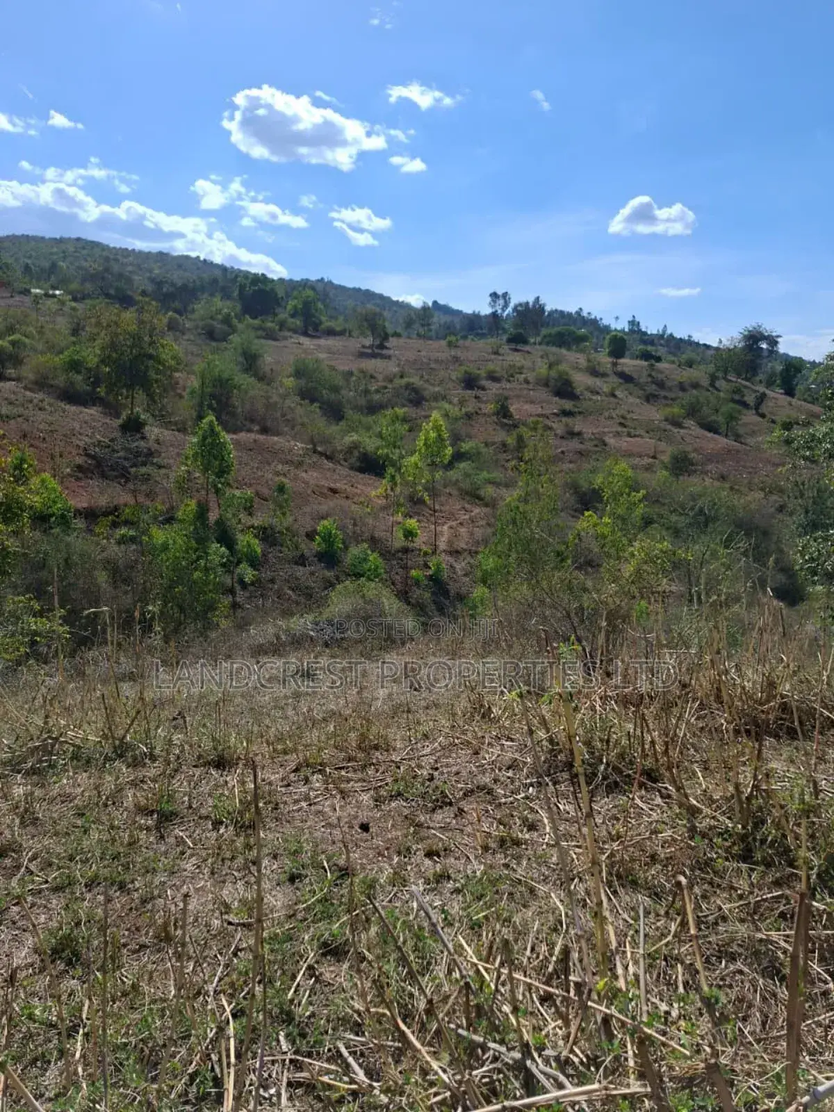 3 Acres for Sale in Ndorome Area- Iganjo in Kambiti