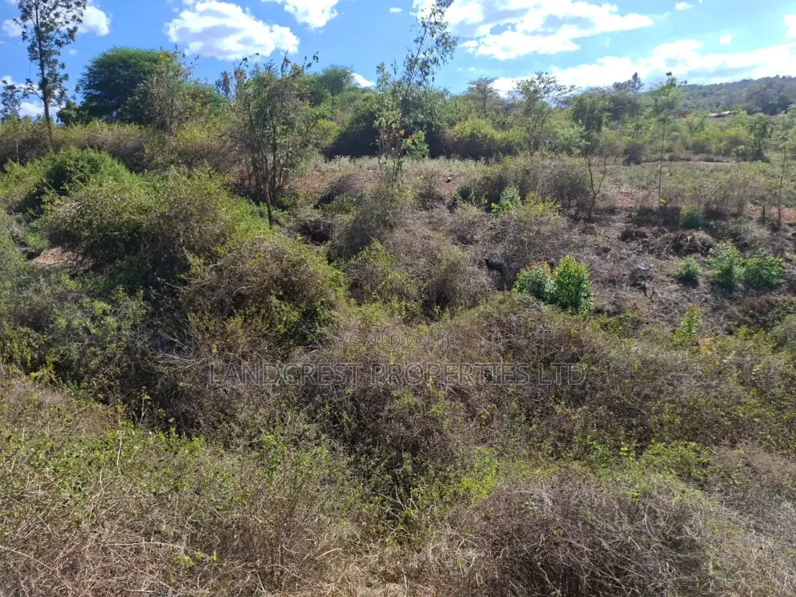 3 Acres for Sale in Ndorome Area- Iganjo in Kambiti
