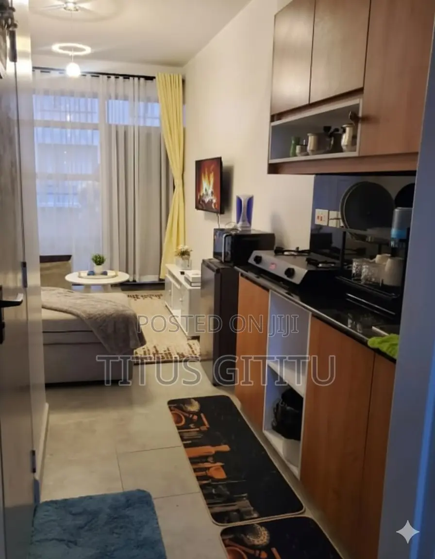Beautiful 1 Bedroom Airbnb Near Trm, Roysambu| Furnished| Free Parking in Roysambu