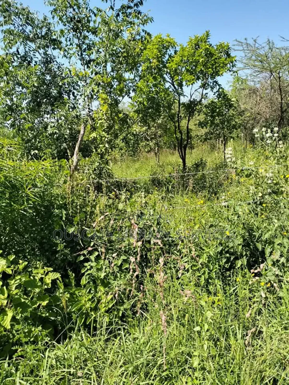 Miliki Shamba La Ndoto Yako Embu in Central Ward