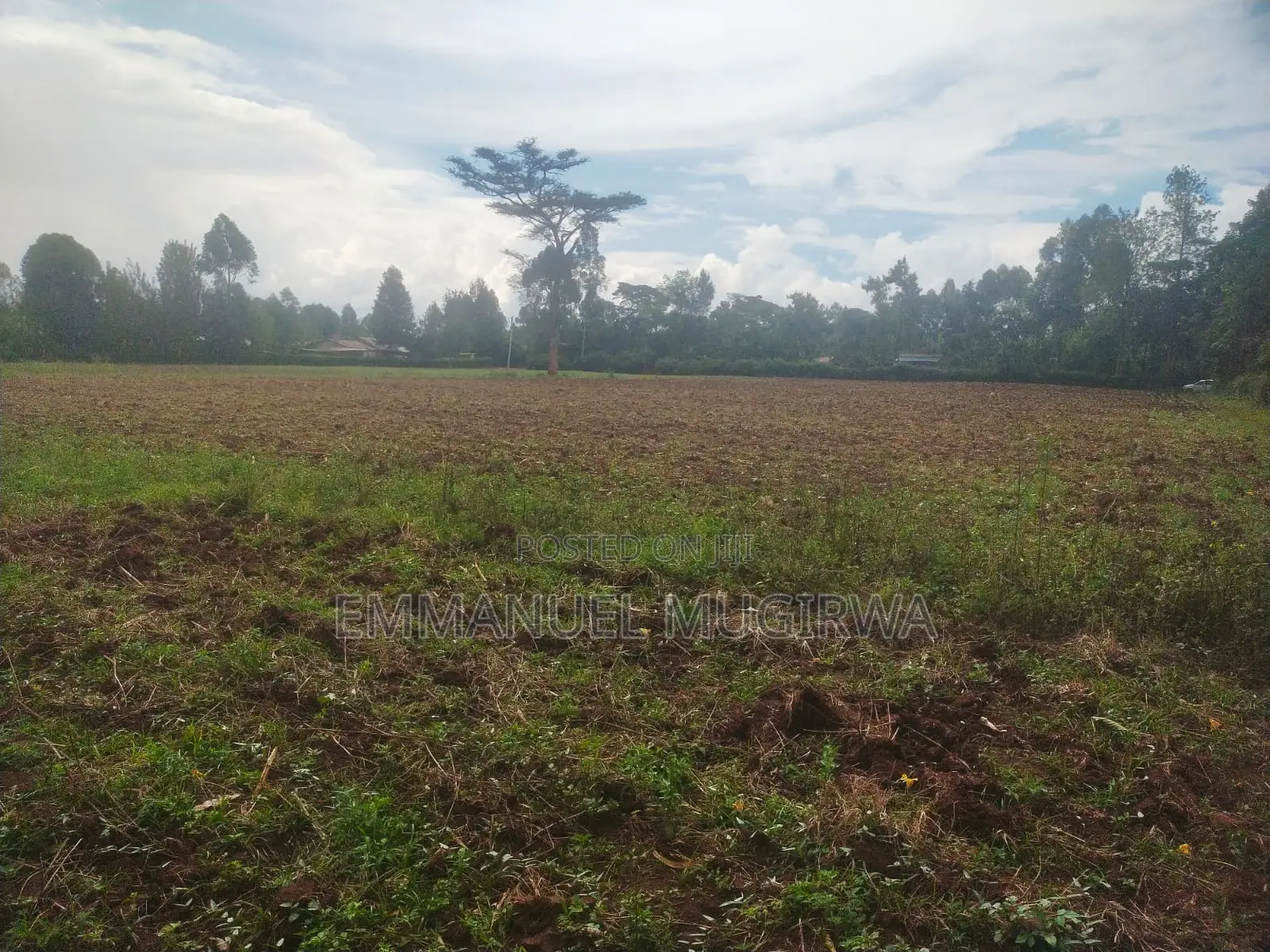 5.5 Acres Prime Land for Sale in Kitale Remaining in Kitale