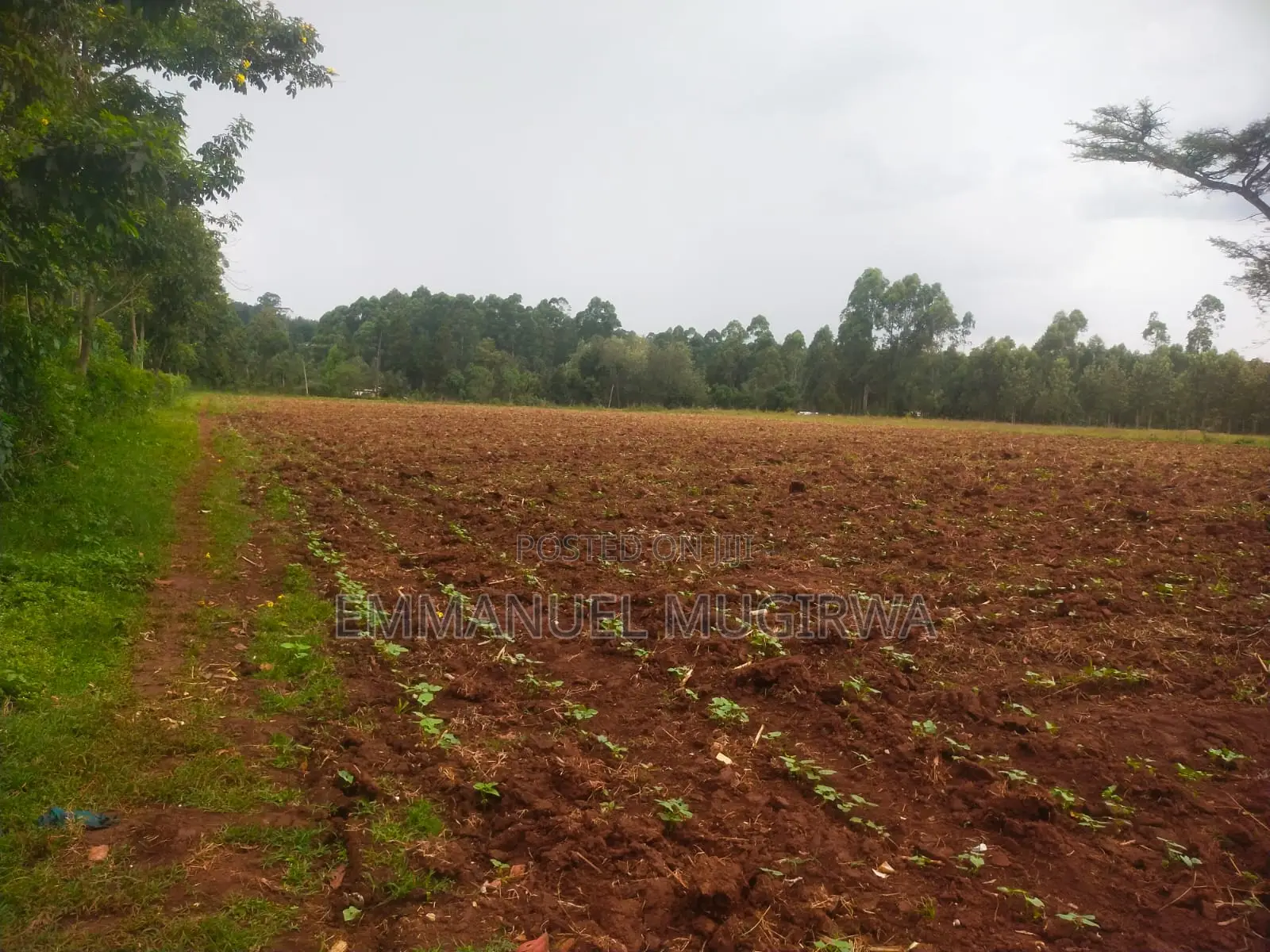 5.5 Acres Prime Land for Sale in Kitale Remaining in Kitale