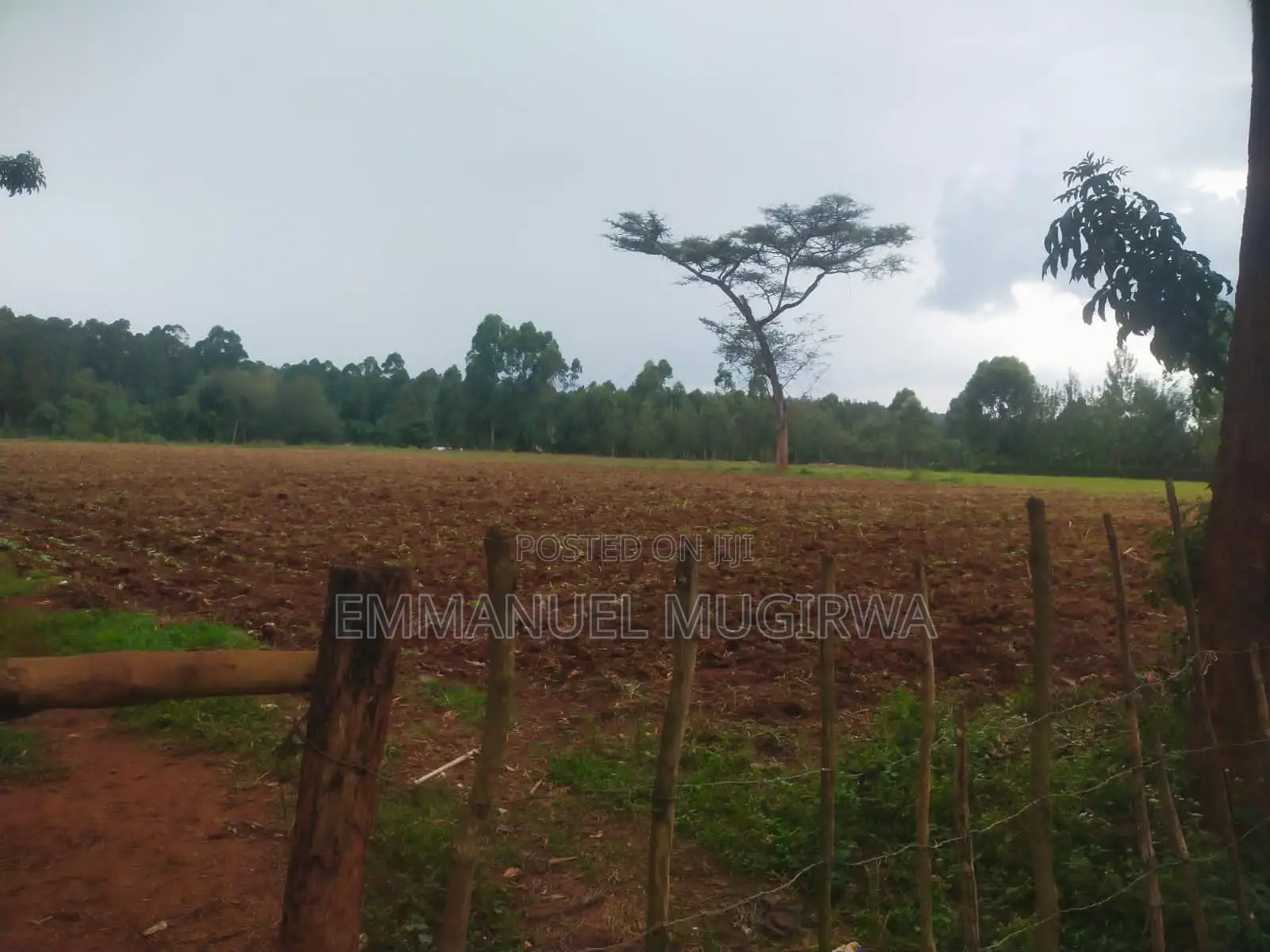 5.5 Acres Prime Land for Sale in Kitale Remaining in Kitale