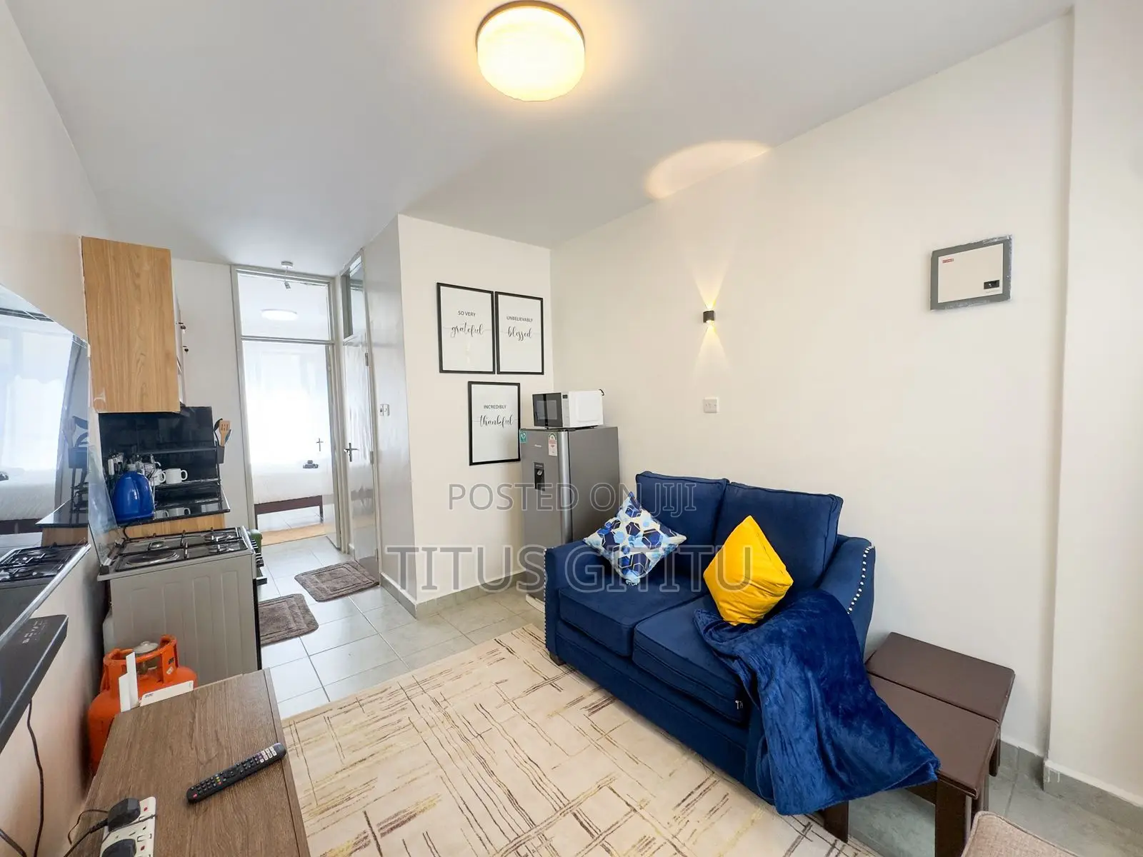 1 Bedroom Airbnb in Roysambu Near Thika Road | Furnished | in Roysambu