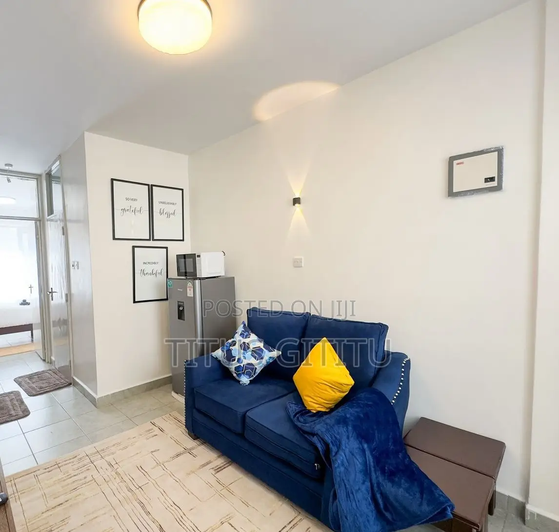 1 Bedroom Airbnb in Roysambu Near Thika Road | Furnished | in Roysambu