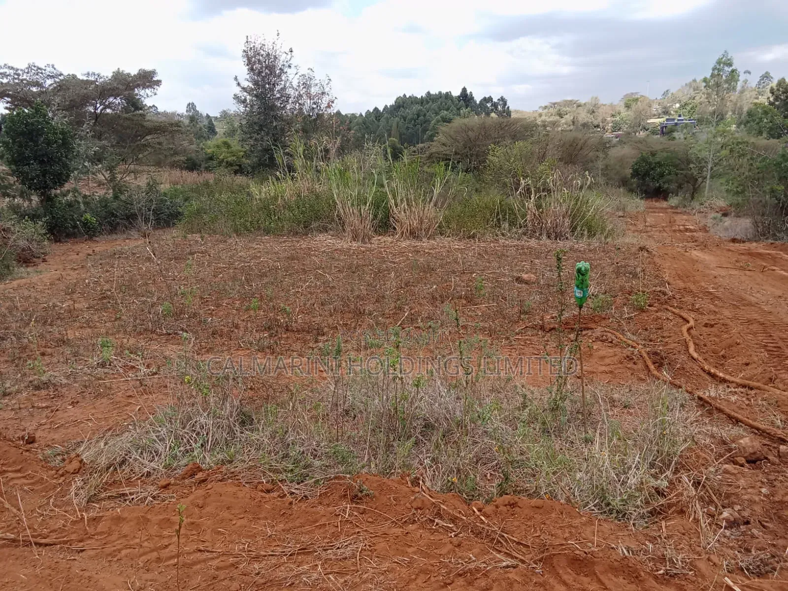 Deal Quarter Acre Plots in Karen View, Lower Merisho in Matasia