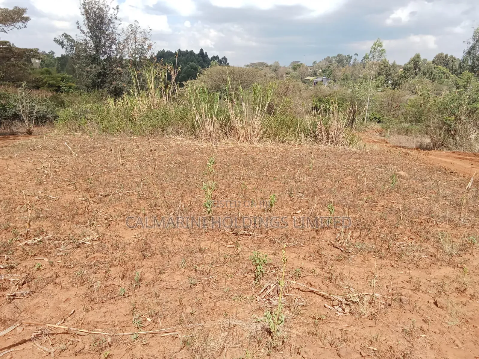 Deal Quarter Acre Plots in Karen View, Lower Merisho in Matasia