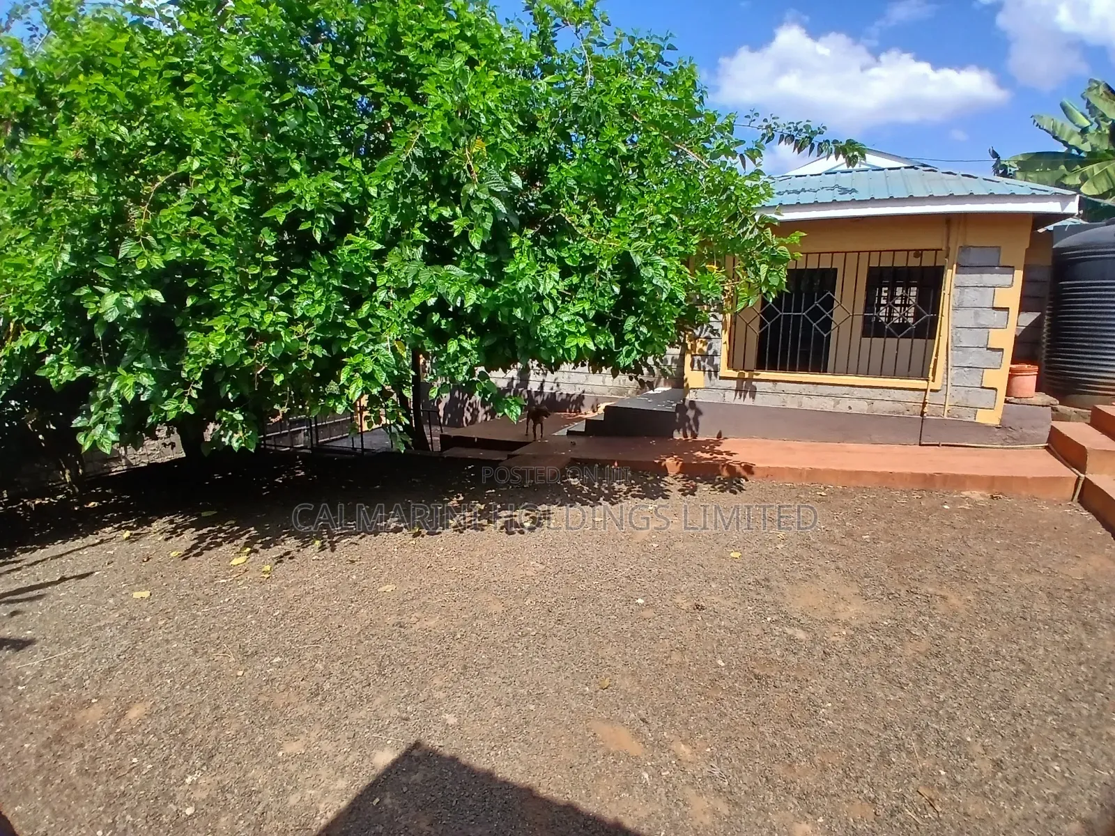 Half Acre Plot With a Spacious 3 Bedroom Bungalow and 2 Bedrm Sq in Matasia