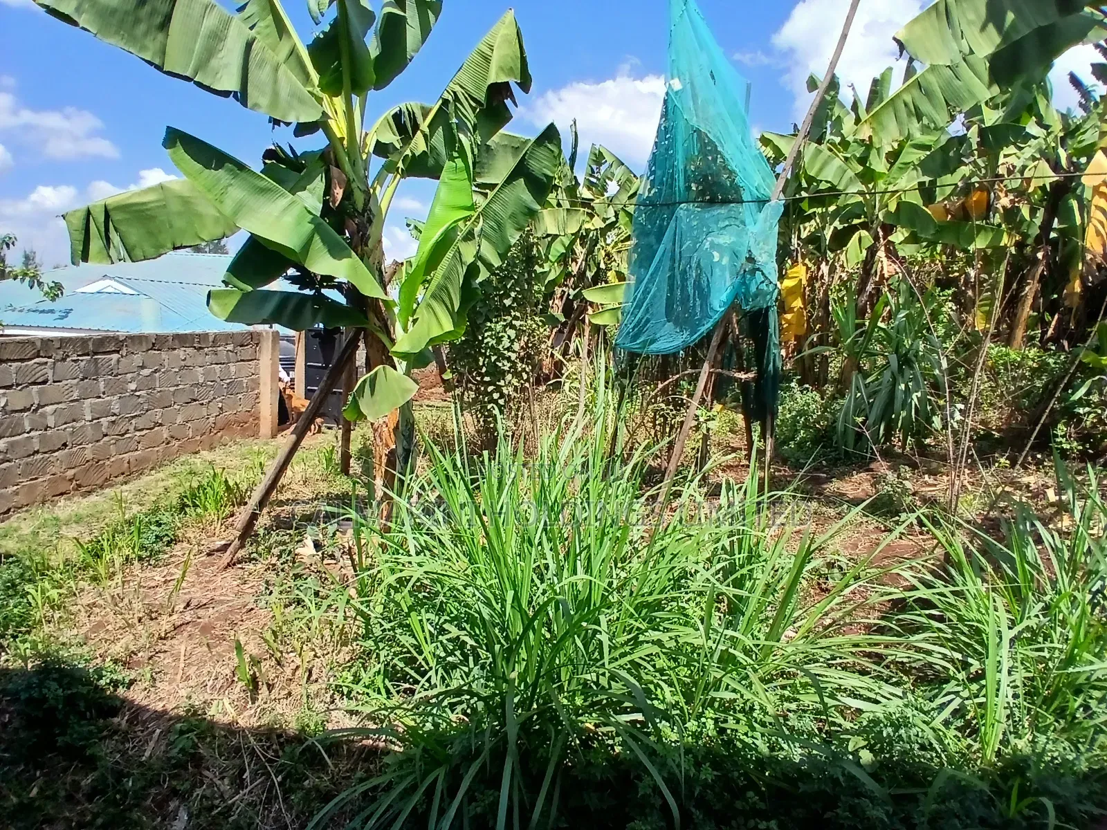Half Acre Plot With a Spacious 3 Bedroom Bungalow and 2 Bedrm Sq in Matasia