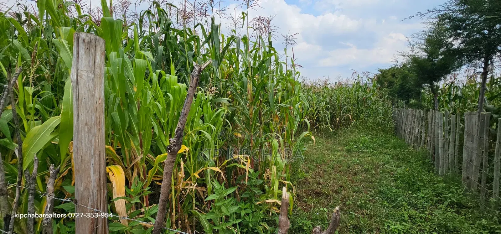 Commercial Plot For Sale In Eldoret Mailli Nne Flyover Righthand Side in Huruma