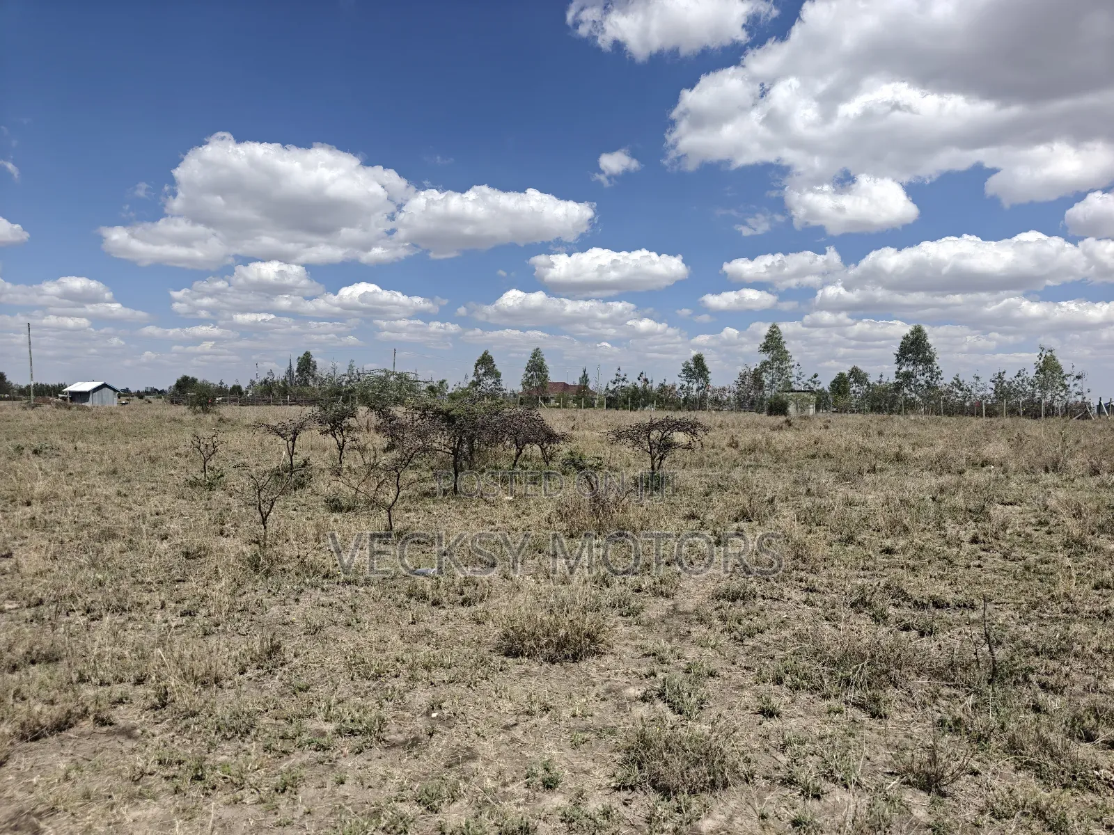 5 Plots for Sale 50 by 100 in Kitengela in Kitengela