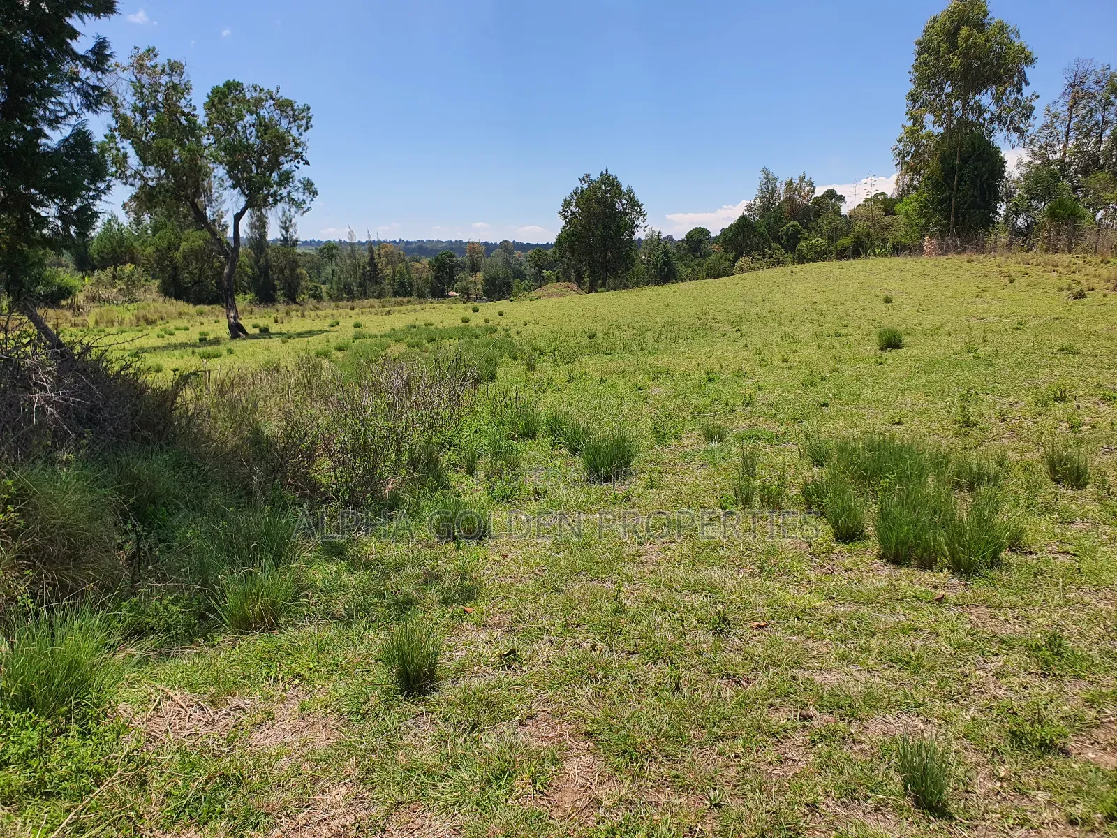 2 Acres in Nanyuki [ Ngarariga ] in Nanyuki