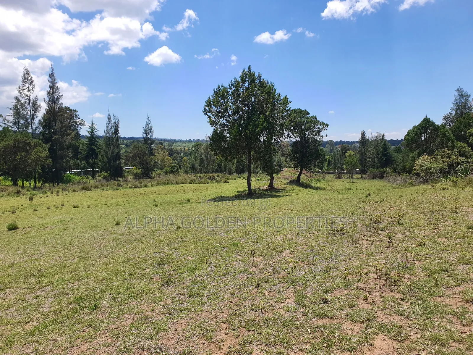 2 Acres in Nanyuki [ Ngarariga ] in Nanyuki