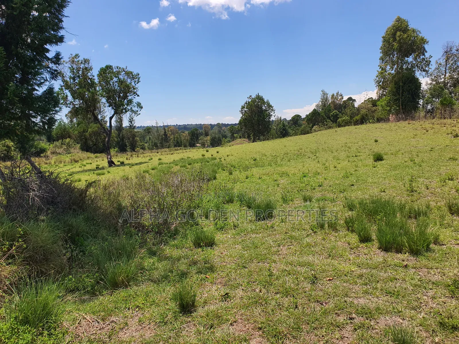 2 Acres in Nanyuki [ Ngarariga ] in Nanyuki