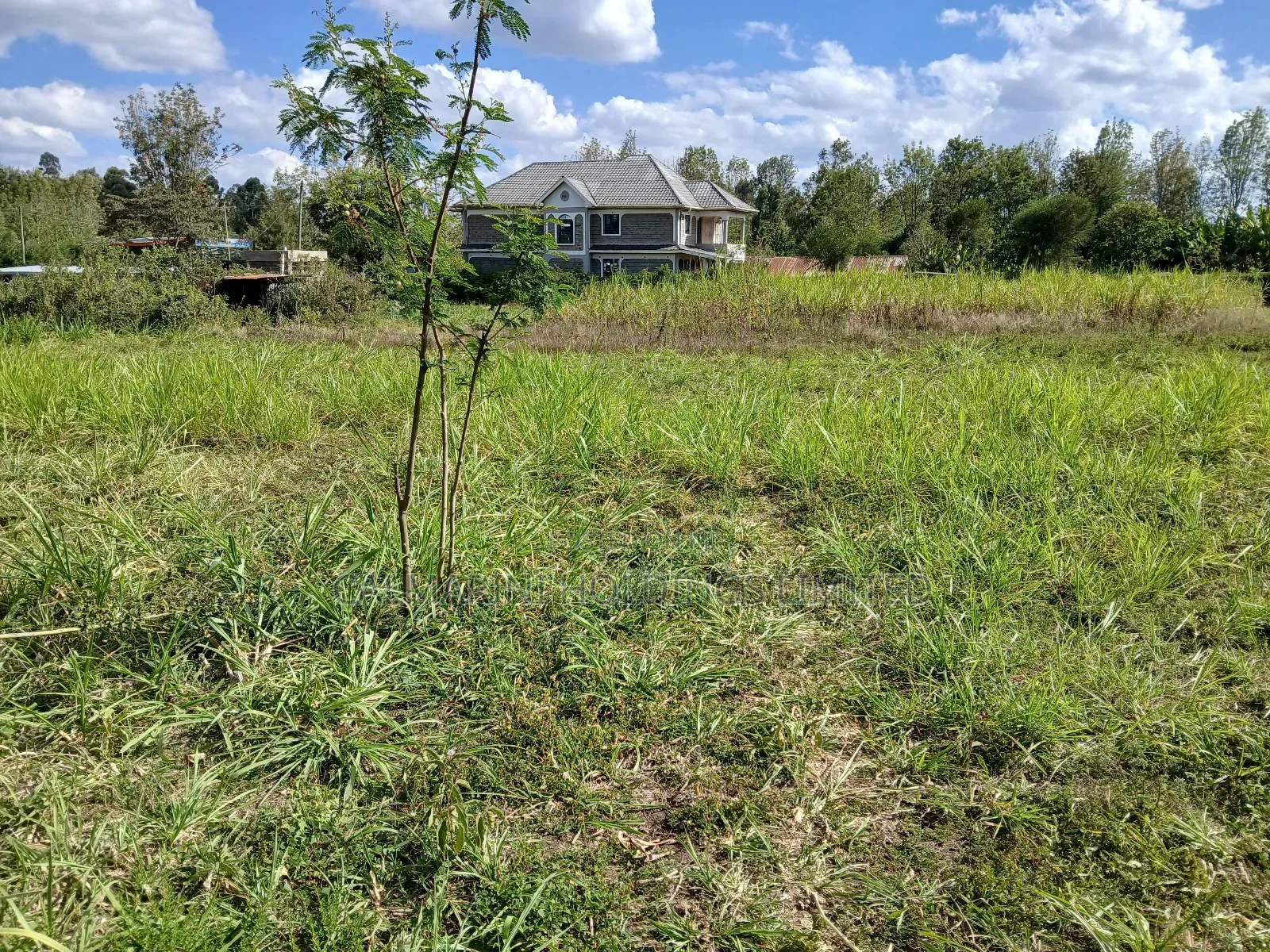Full 100 by 100 Plot in Upper Matasia, 200 Metres Off Roimen Tarmac in Matasia