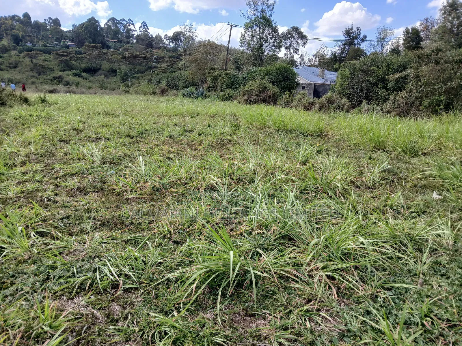 Full 100 by 100 Plot in Upper Matasia, 200 Metres Off Roimen Tarmac in Matasia