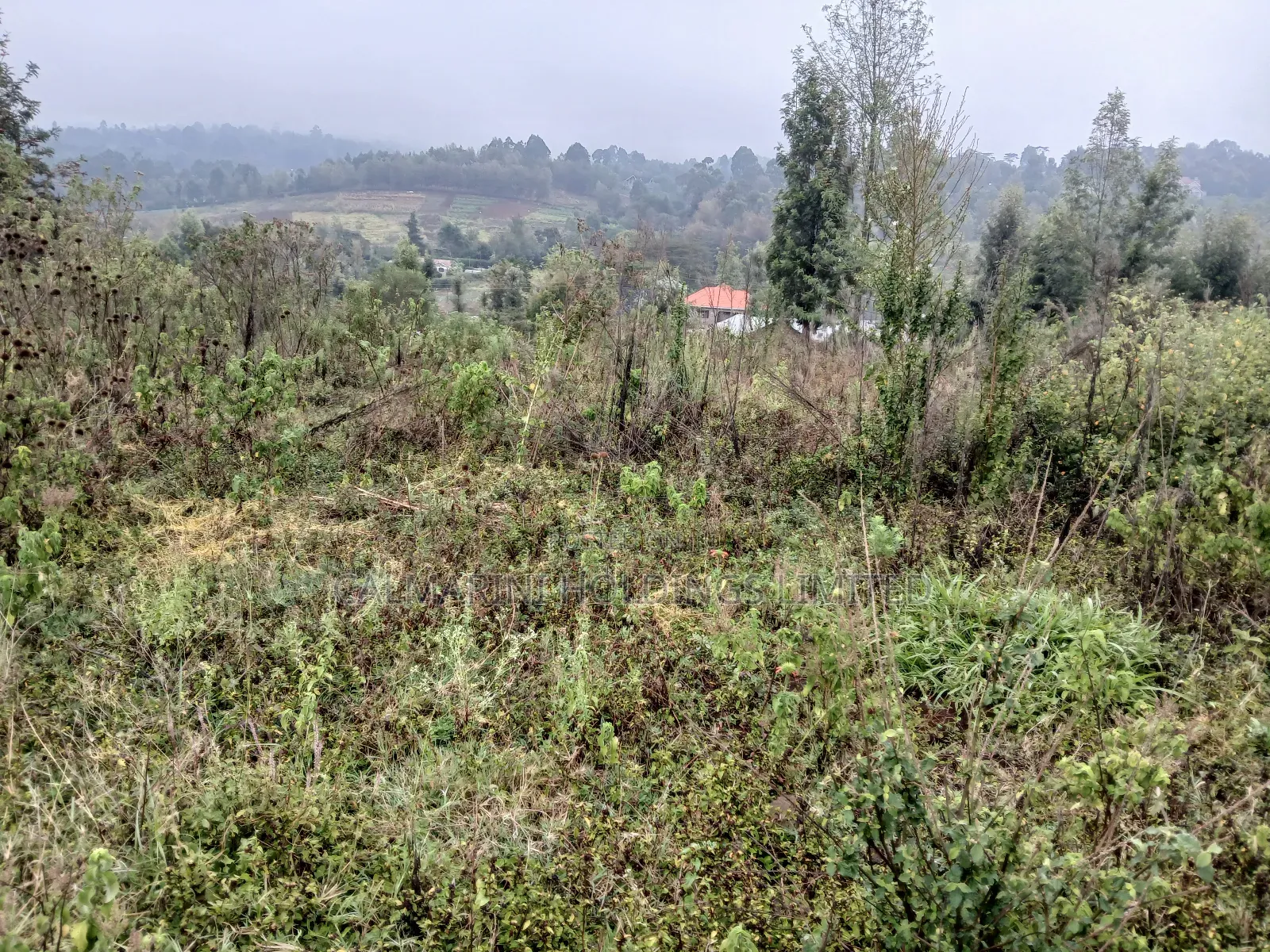 Distressed Full Quarter Acre Near Roimen Tarmac in Upper Matasia in Matasia
