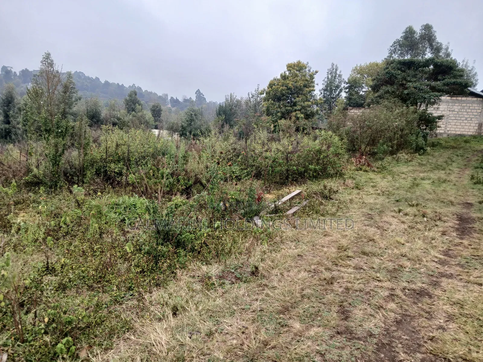 Distressed Full Quarter Acre Near Roimen Tarmac in Upper Matasia in Matasia