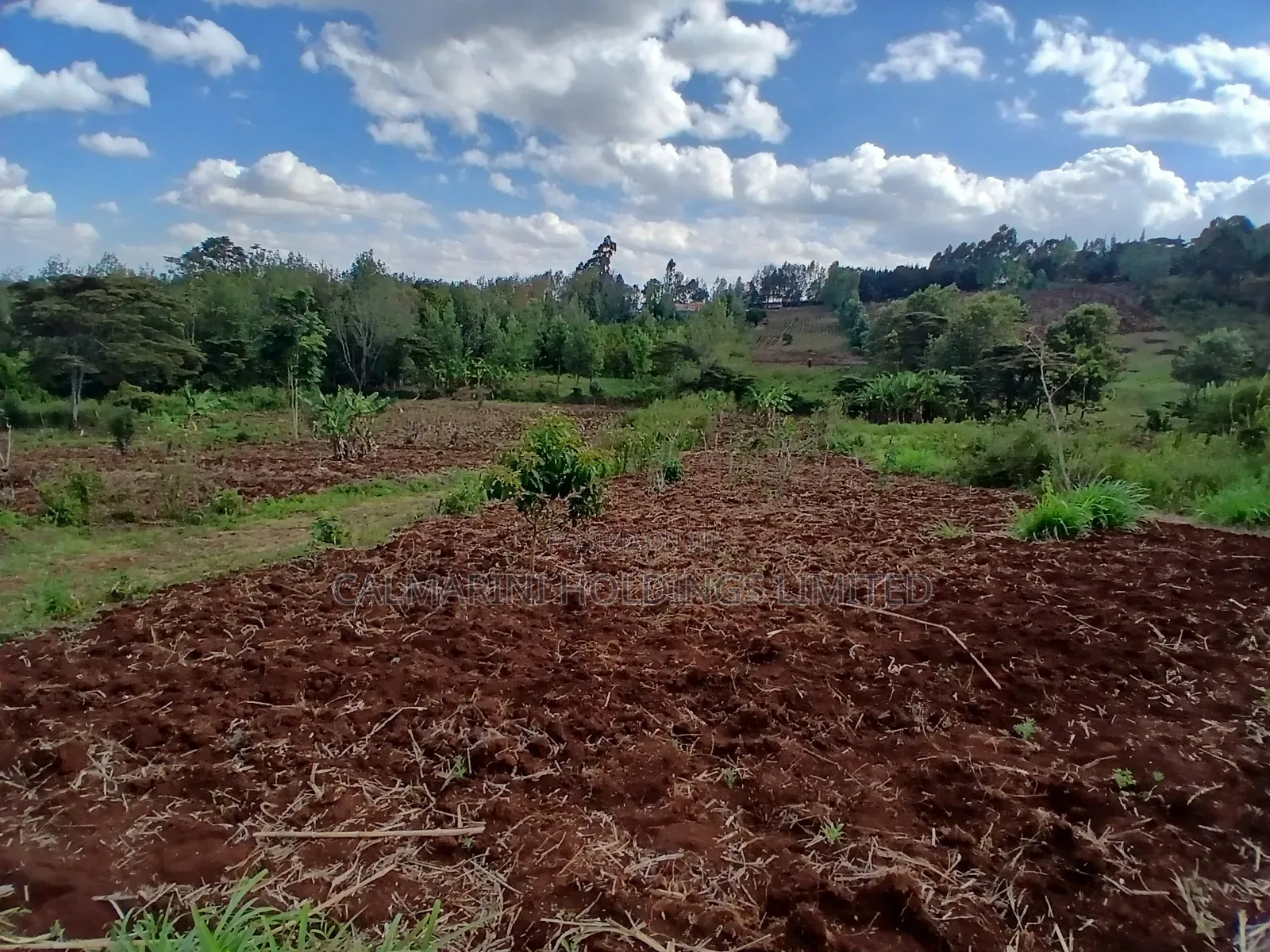 A Prime Redsoil Acre for Sale in Upper Matasia, 1km From Roimen Tarmac in Matasia