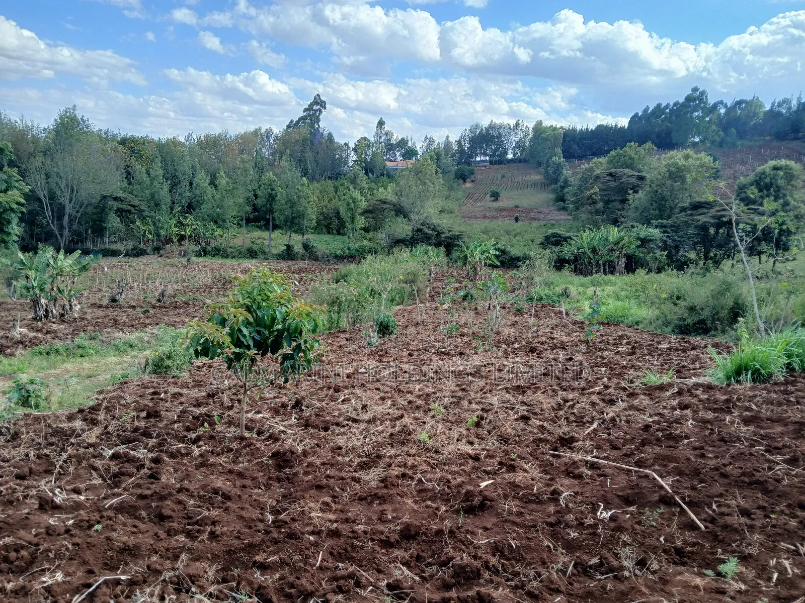 A Prime Redsoil Acre for Sale in Upper Matasia, 1km From Roimen Tarmac in Matasia