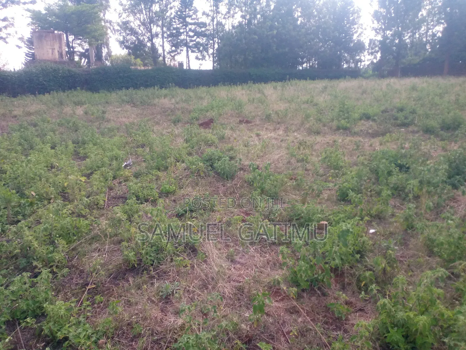 Plot for Sale Muchatha Little Servant in Muchatha