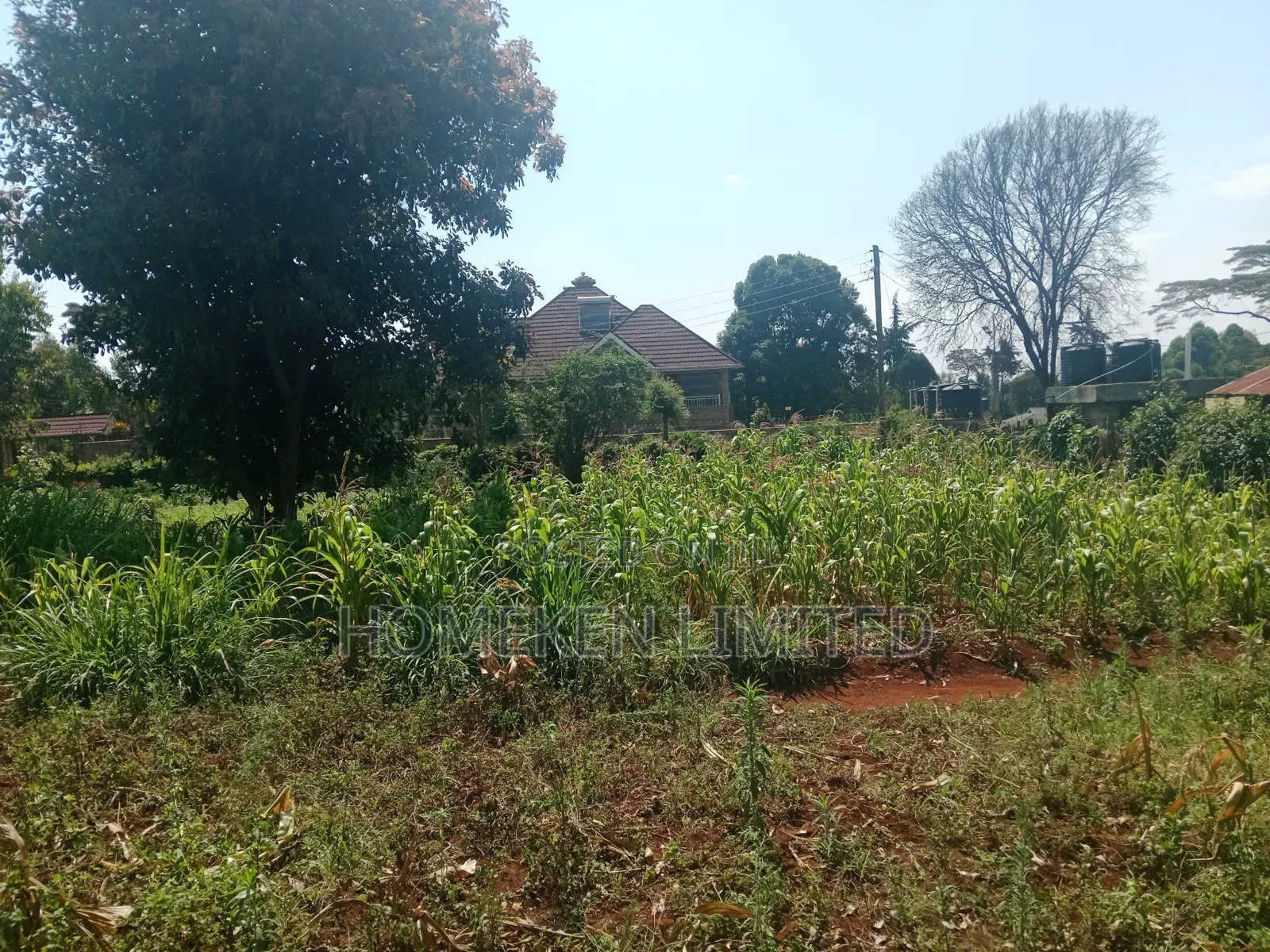 One Acre Land for Sale in Ngecha, Limuru in Ngecha